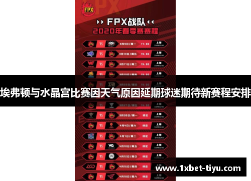 埃弗顿与水晶宫比赛因天气原因延期球迷期待新赛程安排